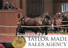 Fasig-Tipton Ky July Yearling Sale Wrap-Up Fasig-Tipton Ky July Yearling Sale Wrap-Up