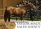 Keeneland Sept Sale Wrap: Day 1 Keeneland Sept Sale Wrap: Day 1