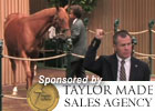 Keeneland Sept Sale Wrap: Day 2