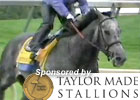 KY Derby News Minute: Tuesday, 4/27/2010