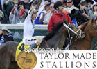 2010 Kentucky Derby Wrap