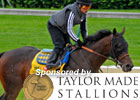 Kentucky Derby News Minute - 5/2/2011