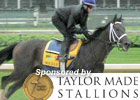 Kentucky Derby News Minute - 5/3/2011 