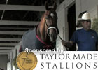 Kentucky Derby News Minute - 5/8/2011 