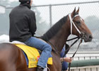 Kentucky Derby News Minute 5/1/2012