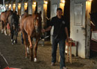 Kentucky Derby News Minute 5/6/2012