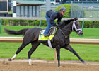 Kentucky Derby News Minute - 4/27/2013