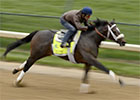Kentucky Derby 2013: Gary Stevens - Oxbow