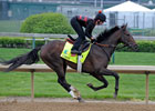 Kentucky Derby News Minute: 4/29/2013