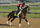Kentucky Derby News Minute - 4/30/2013