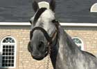 Past Ky Derby Winners: Giacomo (Video) Past Ky Derby Winners: Giacomo (Video)