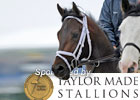Preakness News Minute: Thursday, 5/13/2010