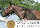 Supercharger - Dam of Super Saver