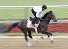 Preakness News Minute: 05/16/2013 Preakness News Minute: 05/16/2013