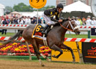 2013 Preakness Stakes Wrap