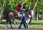 Preakness News Minute 5/18/2012