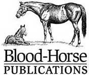 Bloodhorse.com Honored for Barbaro Coverage, Best Web Site Bloodhorse.com Honored for Barbaro Coverage, Best Web Site