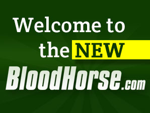 BloodHorse.com Has a New Look BloodHorse.com Has a New Look