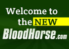 BloodHorse.com New Navigation Tour BloodHorse.com New Navigation Tour