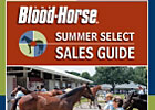 Summer Select Sales Guide