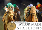 2010 Breeders' Cup Wrap: Day 2