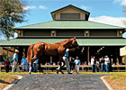 Southeast Regional: OK in Ocala