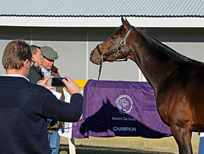 BC Winner Blame Shines at Keeneland BC Winner Blame Shines at Keeneland