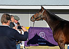BC Winner Blame Shines at Keeneland 