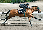 Data Digest: Barretts March Selected 2YO
