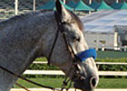 Top 10 Memories of 2010 Kentucky Derby/Oaks