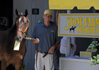 Burning Keeneland Questions and Some Answers