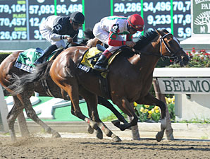 Baby J to Auction at Fasig-Tipton Mixed Sale Baby J to Auction at Fasig-Tipton Mixed Sale
