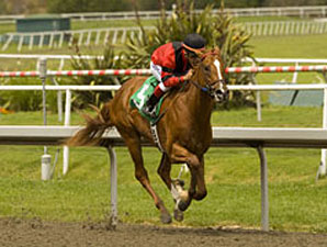 Colt Could be Long Gone in Prevue Stakes Colt Could be Long Gone in Prevue Stakes