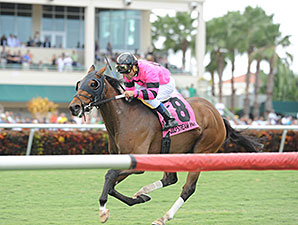 Bad Debt, Philly Ace Tropical Turf Topweights Bad Debt, Philly Ace Tropical Turf Topweights
