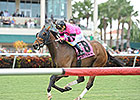 Bad Debt, Philly Ace Tropical Turf Topweights Bad Debt, Philly Ace Tropical Turf Topweights