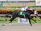 Bahamian Squall Ends Skid at Gulfstream Park Bahamian Squall Ends Skid at Gulfstream Park