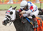 Bahamian Squall Blows Away Smile Sprint Foes Bahamian Squall Blows Away Smile Sprint Foes