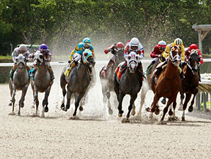 Mixed Bag as Florida Tracks Go Head-to-Head Mixed Bag as Florida Tracks Go Head-to-Head
