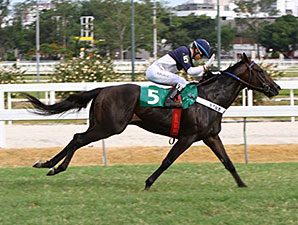 Brazilian Colt Approaches World Record Time Brazilian Colt Approaches World Record Time