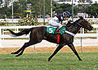 Brazilian Colt Approaches World Record Time Brazilian Colt Approaches World Record Time