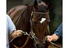 Three-Time Grade I Winner Balance Retired