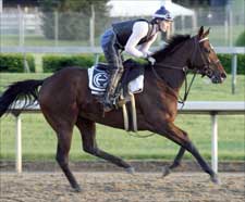 Full Field of 14 to Run for the Oaks; Balance Early Favorite Full Field of 14 to Run for the Oaks; Balance Early Favorite