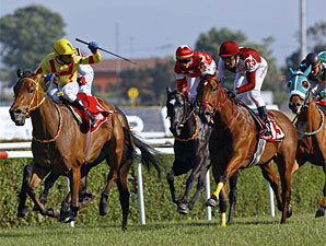 Strike the Gold Sires Turkish Oaks Winner Strike the Gold Sires Turkish Oaks Winner