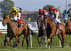 Strike the Gold Sires Turkish Oaks Winner Strike the Gold Sires Turkish Oaks Winner