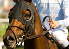 Ball Four to Appear at Keeneland April 16