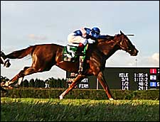 Ballast Looks for Second Graded Victory in Carey Ballast Looks for Second Graded Victory in Carey