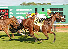 Talented Older Females Set for Turf Mile Talented Older Females Set for Turf Mile