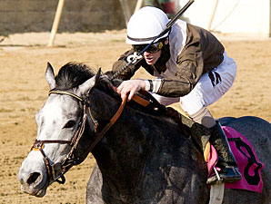 Bandbox Too Powerful for Private Terms Rivals Bandbox Too Powerful for Private Terms Rivals