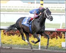 Bandini Sets Gulfstream Mark in Return Bandini Sets Gulfstream Mark in Return