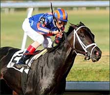 Pletcher Seeks Change of Luck in Met Mile Pletcher Seeks Change of Luck in Met Mile